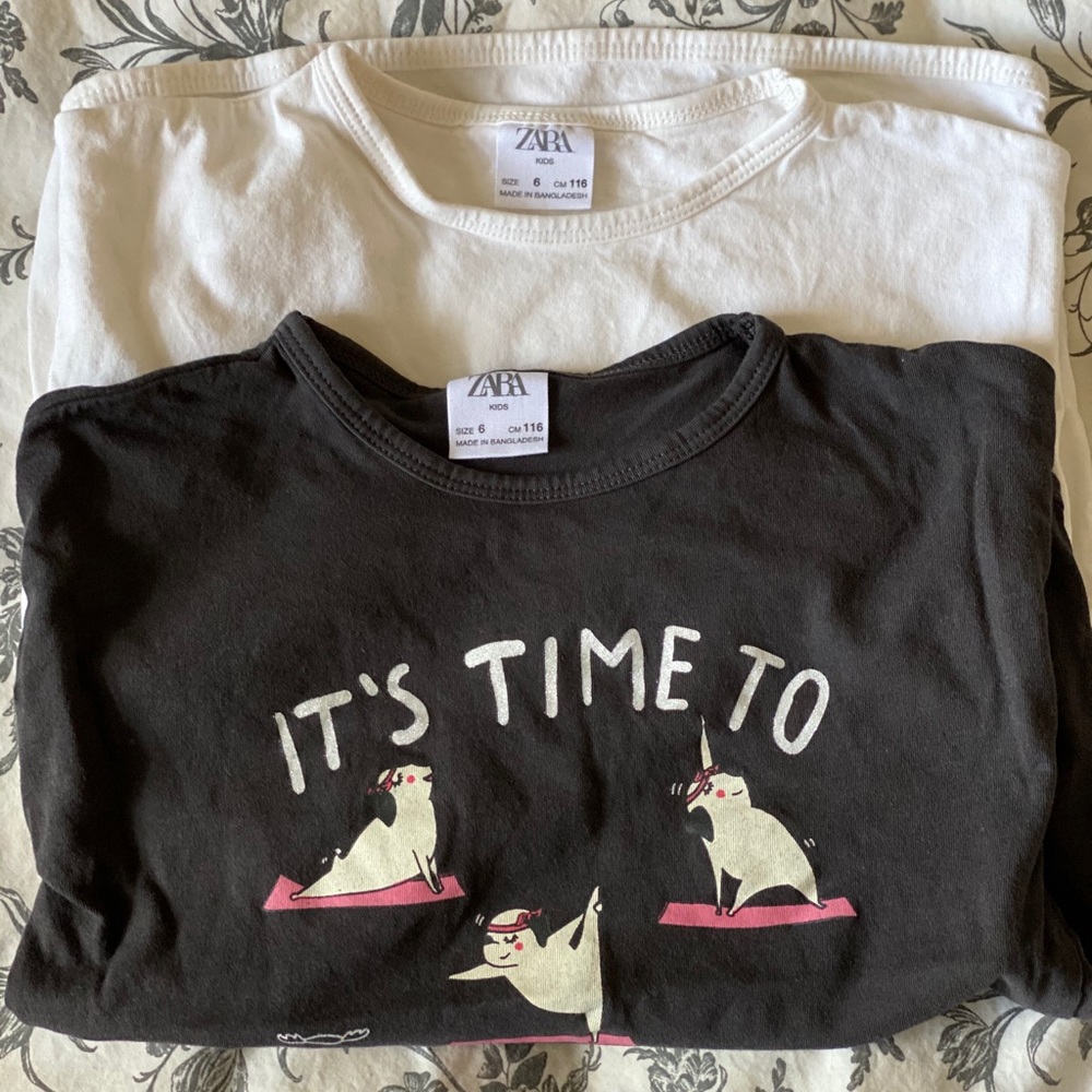 Zara t-shirt bundle